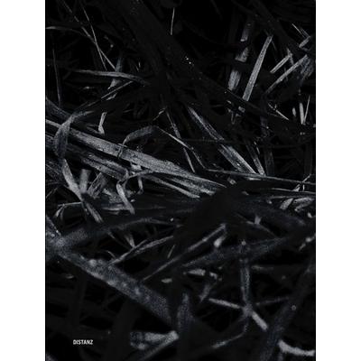 Last Year’s Nest, Taschenbuch von Paul Bellaart, Distanz Verlag, 978-3-95476-339-9
