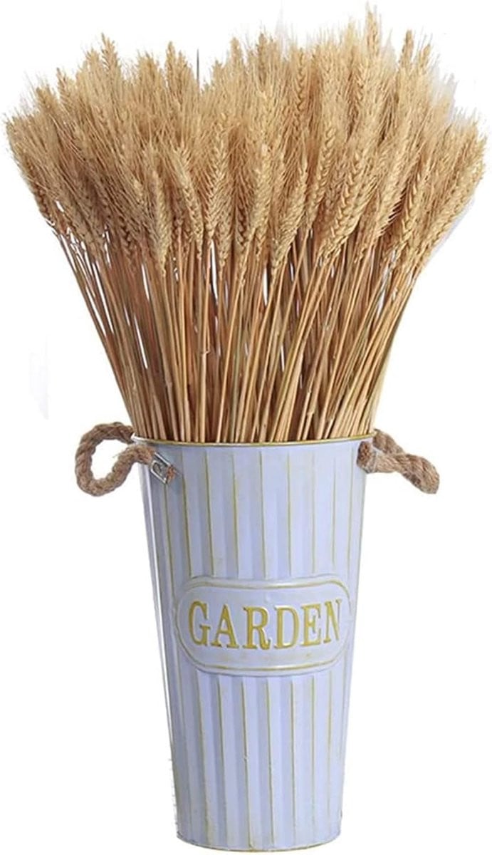 100 stuks Gedroogde Tarweaaren voor Decoratie, 40 cm