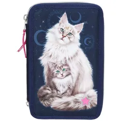 Depesche 10862 TOPModel 3-Fach Federtasche LED MOONLIGHT