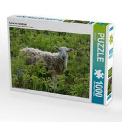 CALVENDO Puzzle Schaf im Farnkraut 1000 Teile Lege-Größe 64 x 48 cm Foto-Puzzle Bild von SusaZoom