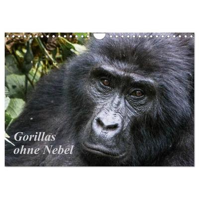 Gorillas ohne Nebel (Wandkalender 2027 DIN A4 quer), CALVENDO Monatskalender