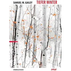 Tiefer Winter, Belletristik von Samuel W. Gailey