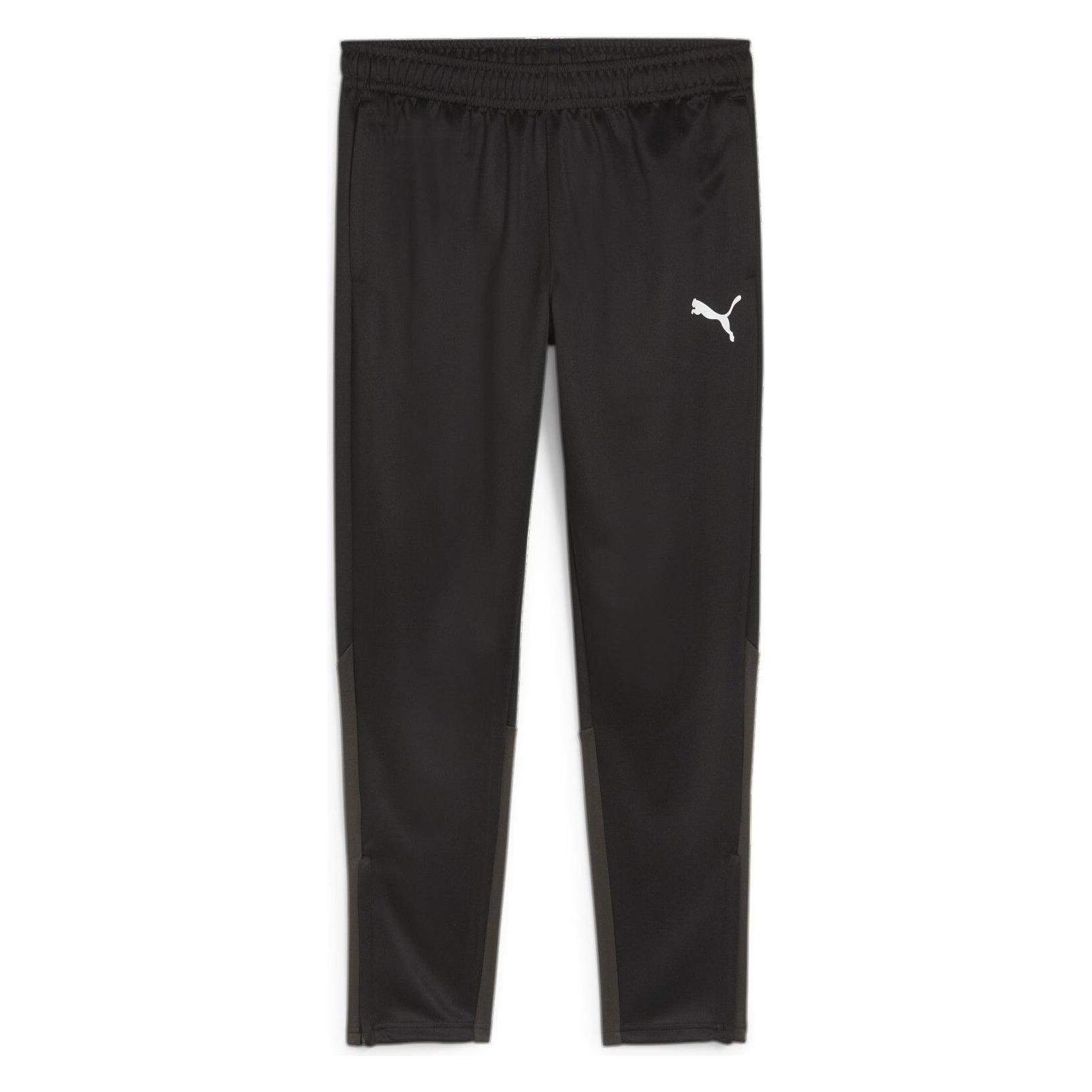 Puma teamGOAL Training Pant (3XL) (658639_03)