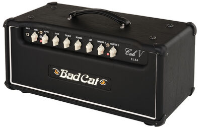 Bad Cat Cub V EL84 Head