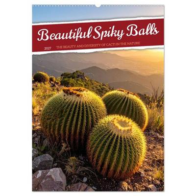 Beautiful Spiky Balls (Wall Calendar 2027 DIN A2 portrait), CALVENDO 12 Month Wall Calendar