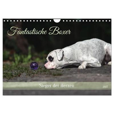 Fantastische Boxer - Sieger der Herzen (Wandkalender 2027 DIN A4 quer), CALVENDO Monatskalender