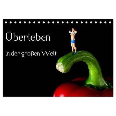 Überleben in der großen Welt - HO Figuren (Tischkalender 2027 DIN A5 quer), CALVENDO Monatskalender