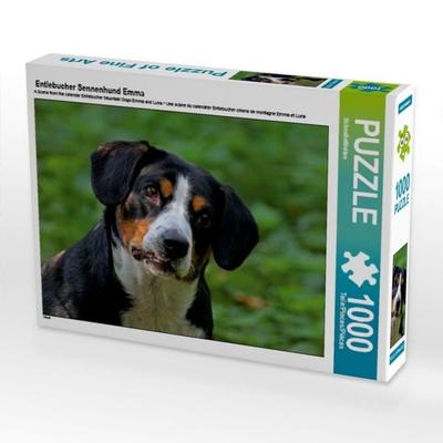 CALVENDO Puzzle Entlebucher Sennenhund Emma | 1000 Teile Lege-Größe 64 × 48 cm Foto-Puzzle für glückliche Stunden