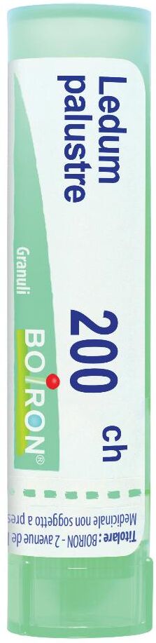 BOIRON Srl LEDUM PALUSTRE BOI*200CH80GR4G