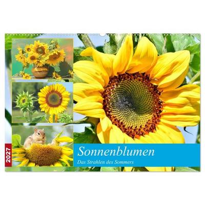 Sonnenblumen. Das Strahlen des Sommers (Wandkalender 2027 DIN A2 quer), CALVENDO Monatskalender