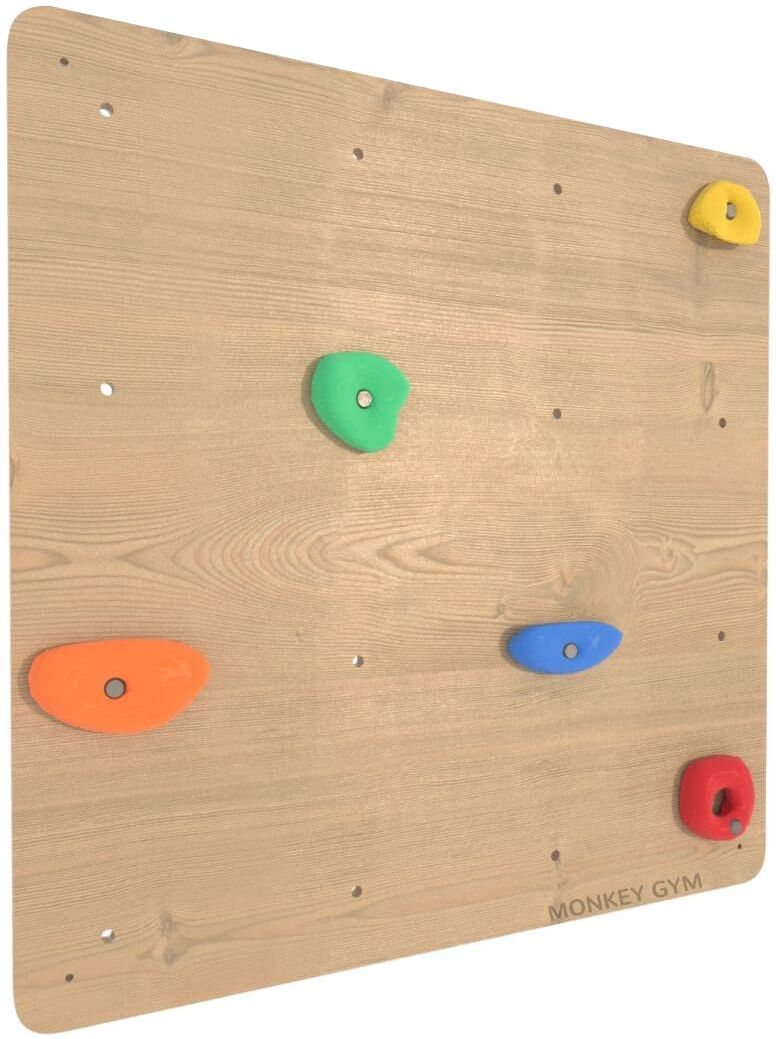 Monkey-Gym Module pour mur d’escalade intérieur