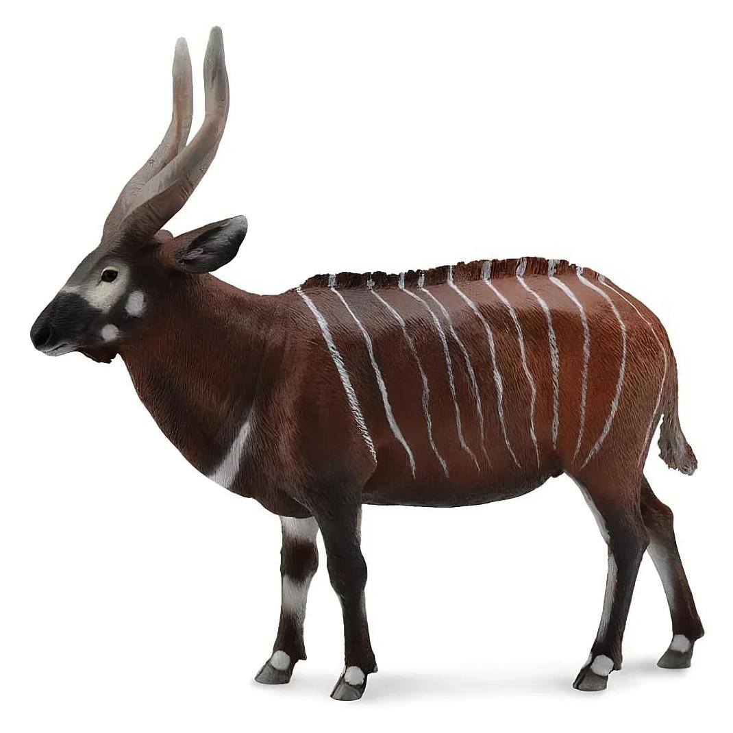 Collecta Antilope Bongo XL, 88809 (004-88809)