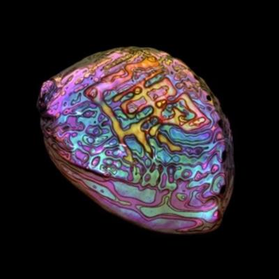 Belonging (Digipak) - Ian Chang, CD