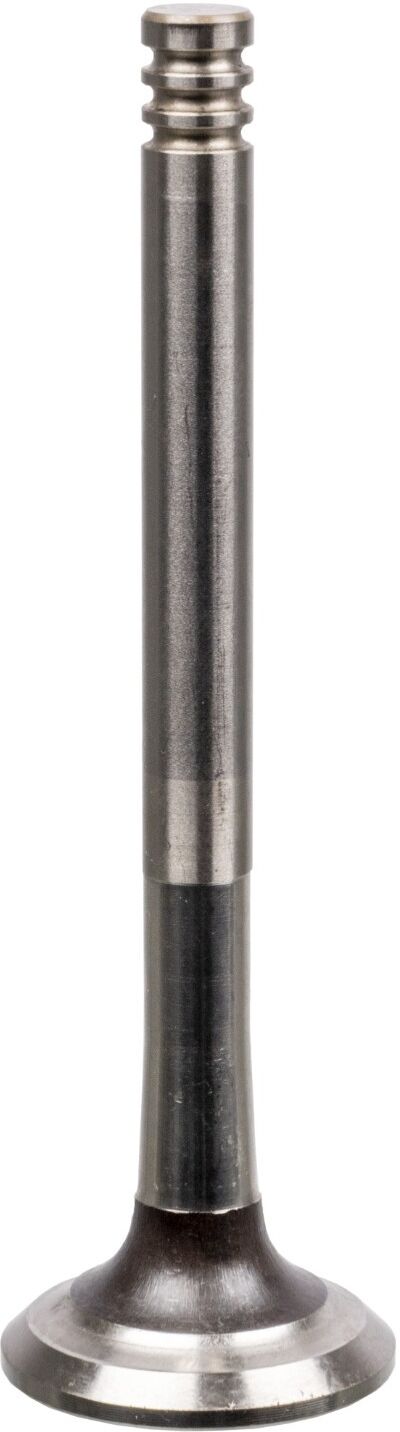 FEBI BILSTEIN 21008 Exhaust valve