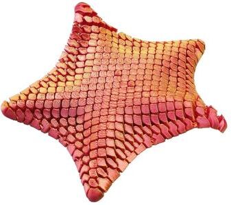 Handpicked Choices Articulated Starfish Fidget Toy 3D Printed Desk Decor For Stress Relief red
