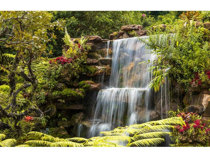 Papermoon WASSERFALL-FLUSS SEE WALD STEINE BLUMEN BERGE BACH XXL