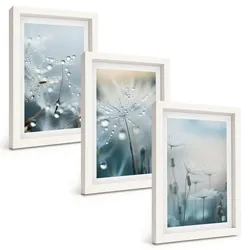 BILDER SET 3er Set - 20x30 cm Weißer Rahmen - Tautropfen auf Löwenzahn