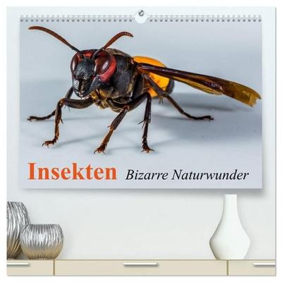 Insekten • Bizarre Naturwunder (hochwertiger Premium Wandkalender 2027 DIN A2 quer), Kunstdruck in Hochglanz