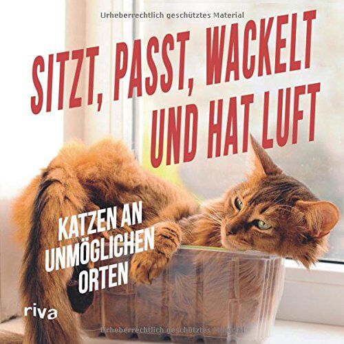 Sitzt, passt, wackelt und hat Luft: Katzen an unmöglichen Orten - Preis vom 09.10.2026 07:28:09 h
