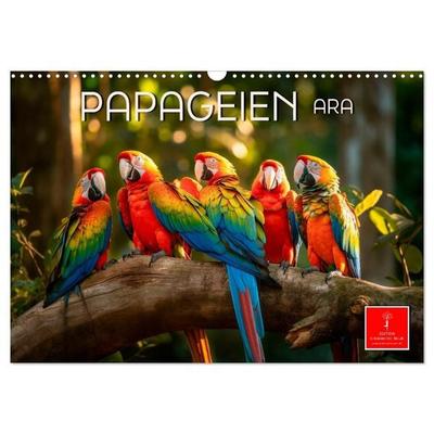 Papageien - Ara (Wandkalender 2027 DIN A3 quer), CALVENDO Monatskalender