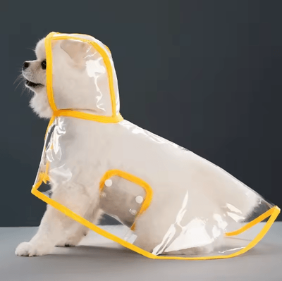 Inspire Picks Transparent Waterproof Dog Raincoat For Small & Large Dogs (XS8XL) golden xxl