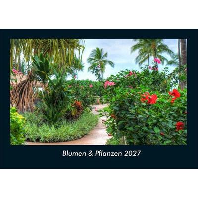 Blumen & Pflanzen 2027 Fotokalender DIN A4