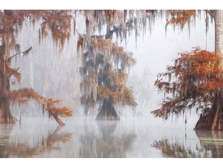 Fototapete PAPERMOON Photo-Art ROBERTO MARCHEGIANI, MYSTY BAYOU , bunt, B:3m L:2,23m, Vlies, Tapeten, Fototapete