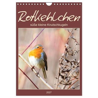 Rotkehlchen, süße kleine Knutschkugeln (Wandkalender 2027 DIN A4 hoch), CALVENDO Monatskalender