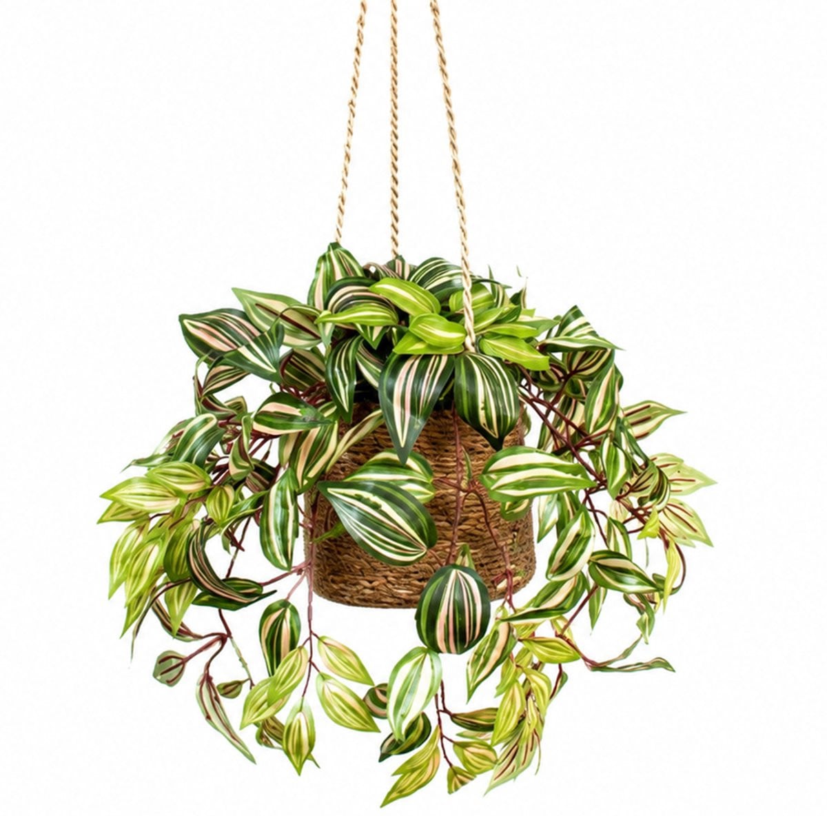 Kunstplant Tradescantia in natuurlijke hangmand, Lengte: 110 cm