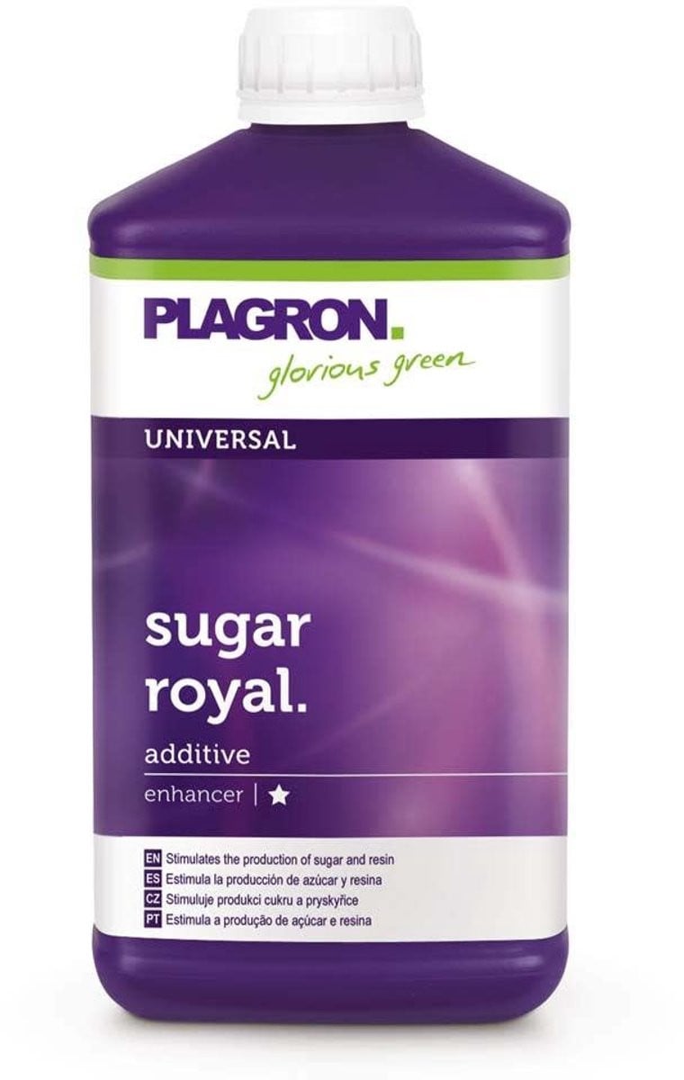 Plagron Sugar Royal 1 ltr