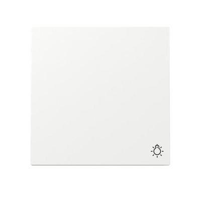 Gira Wippe Symb. Licht 328570