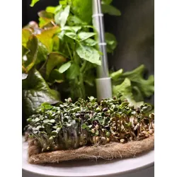Hydro Garden | Jutematte für Microgreens | 4er Pack