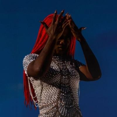VIRAL WRECKAGE (Translucent Red Vinyl) - Aunty Rayzor, Vinyl