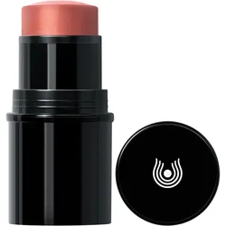 DR. HAUSCHKA Lip to Cheek - rot