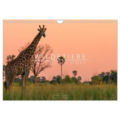 Wildtiere im südlichen Afrika (Wandkalender 2027 DIN A4 quer), CALVENDO Monatskalender
