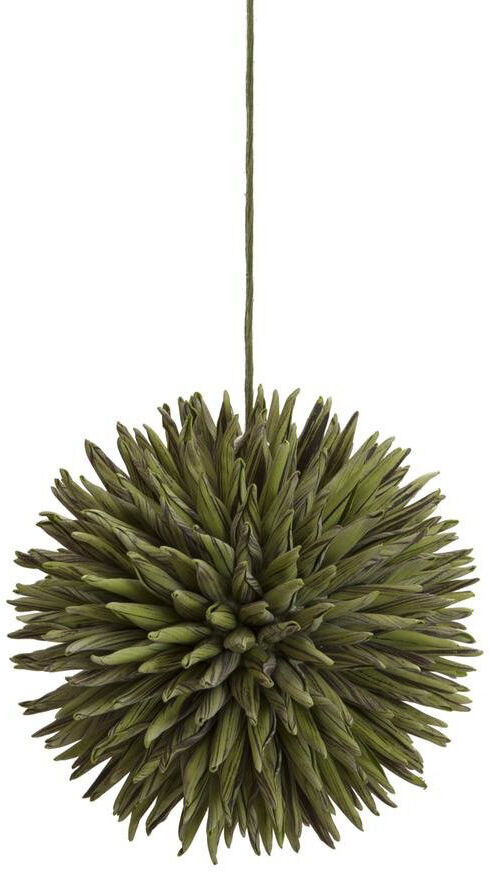 Europalms Sukkulenten Kugel (Eva), Grün, 16cm