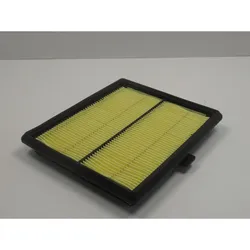 Unicraft Luftfiltereinsatz PG-E 100 TEA für Motor / 200X170