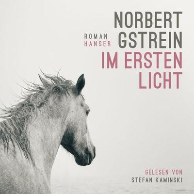 Im ersten Licht - Norbert Gstrein, Audio, 9783446289734