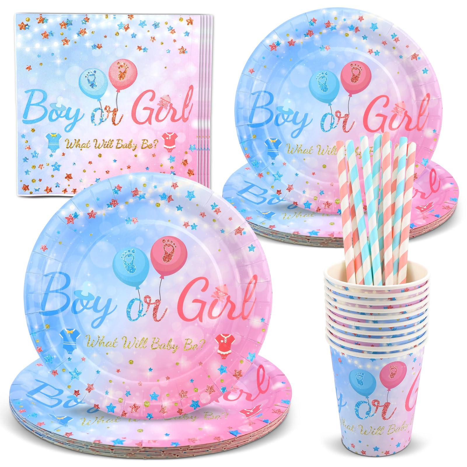 Dripio Gender reveal feestartikelen voor 10 personen, roze/blauw, papier