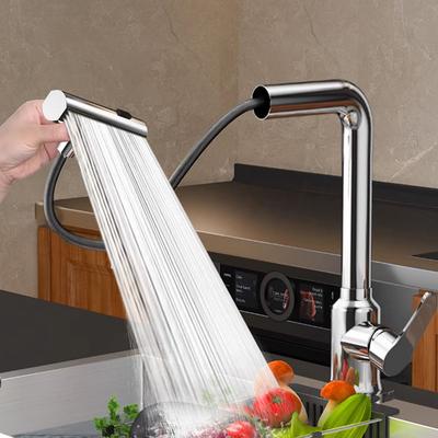 Inspire Daily Merch Multifunctional Stainless Steel Kitchen Faucet Pull out Hot And Cold Rotatable Sink Splash proof Household Universal silver