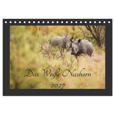 Das Weiße Nashorn (Tischkalender 2027 DIN A5 quer), CALVENDO Monatskalender