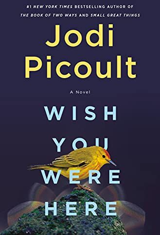Jodi Picoult - Wish You Were Here: A Novel - Preis vom 18.10.2026 19:22:15 h