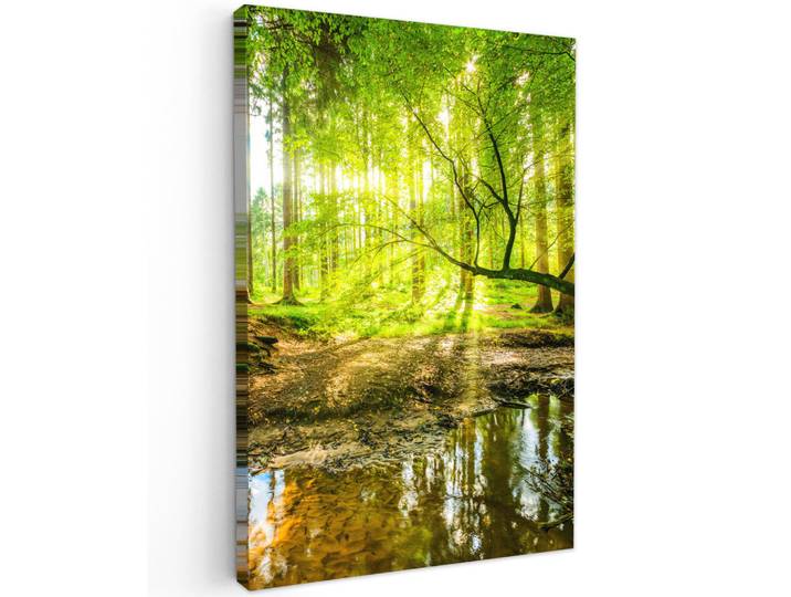 MuchoWow Leinwandbild - Wald - Landschaft - Wasser - Bäume - Sonne - Grün - Natur - 60x90 - Kunstdruck, Textil, Kiefer, Abstrakt, Rechteckig, 60x90 cm, gerahmt, Bilder & Rahmen, Bilder, Wandbilder