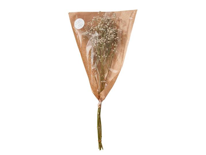 Trockenblume Schleierkraut 20 x 1 x 60cm