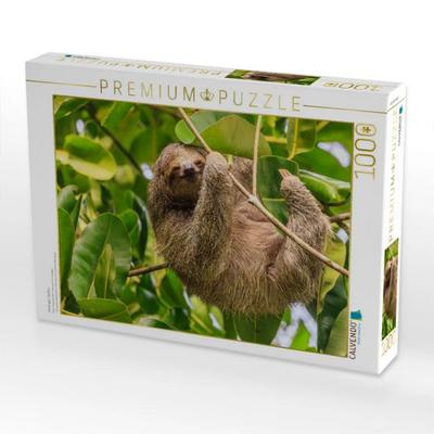 CALVENDO Puzzle Dreifinger-Faultier | 1000 Teile Lege-Größe 64x48cm Foto-Puzzle für glückliche Stunden