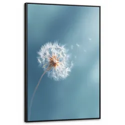 LEINWAND Bilder mit Rahmen - Löwenzahn - Wind - Blau - 100x150