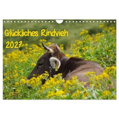 Glückliches Rindvieh 2027 (Wandkalender 2027 DIN A4 quer), CALVENDO Monatskalender