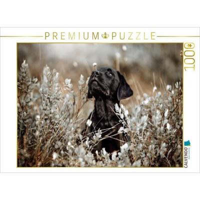 CALVENDO Puzzle Labrador Retriever Welpe | 1000 Teile Lege-Größe 64x48cm Foto-Puzzle für glückliche Stunden