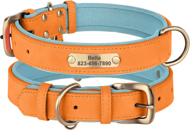 Inspire Picks Personalized PU Leather Dog Collar With Free Engraved Nameplate For All Dog Sizes 361k Orange m