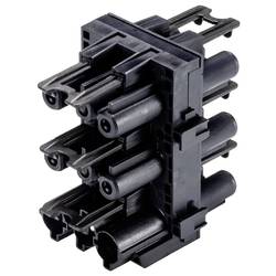 BACHMANN T-Verteiler GST18 3-polig, GST18 1xIn 5xOut 375.541